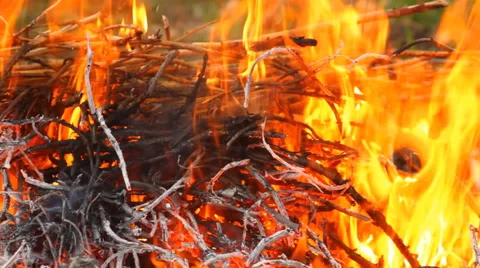 Dry twigs on fire, close-up Stock Footage 49941803