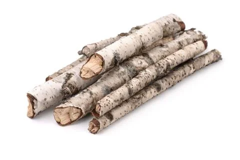 Dry twigs Stock-Fotos