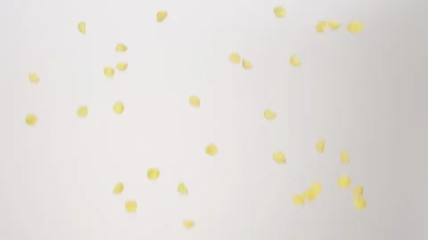 Dry uncooked Macaroni Conchiglie Shells Raining Slow Motion White Backdrop Stock-Footage 336392268