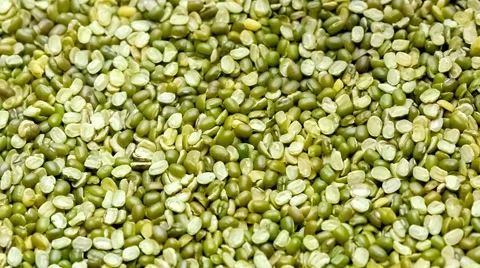 Dry uncooked split green gram legume beans in bulk pile being spooned with wo Stock Footage 65076184