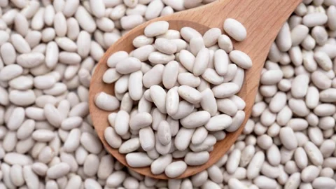 Dry uncooked white navy beans Stock Footage 342529259