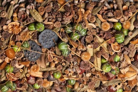 Dry Vegetables Stock Photos