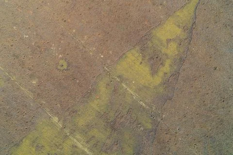 Dry vegetation texture on arid soil terrain, abstract natural background aerial Stock Photos