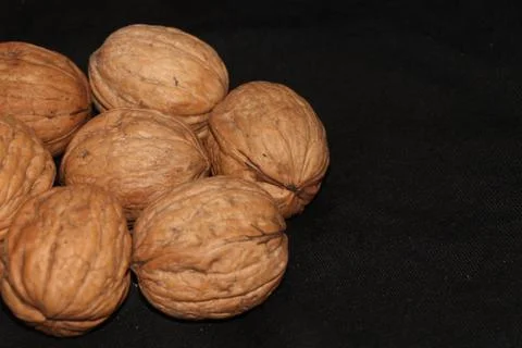 Dry walnut with round shape Stock Photos