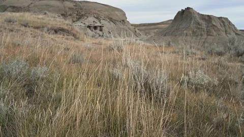 Dry western grass moving in the wind with badlands desert hills in the backgroun Stock Footage 290806921