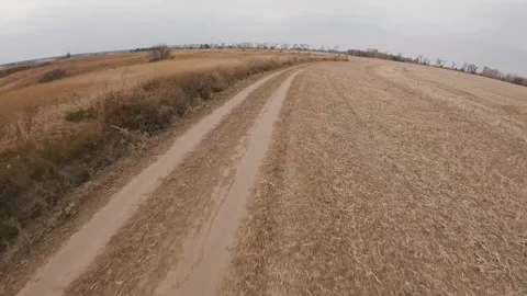 Dry wheat field in cloudy day Stock Footage 256695005