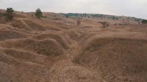 Dry wheat field in cloudy day Stock Footage 256695726