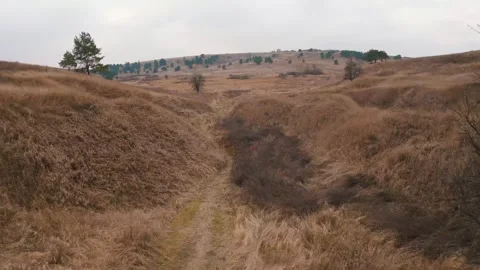 Dry wheat field in cloudy day Stock Footage 256695926