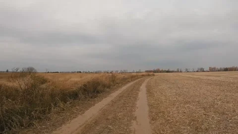 Dry wheat field in cloudy day Stock Footage 256696132