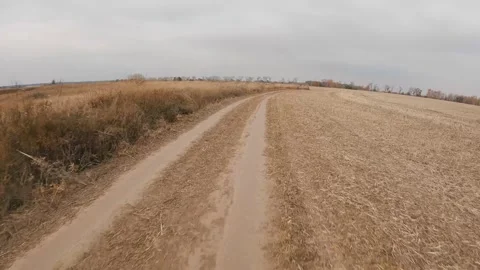 Dry wheat field in cloudy day Stock Footage 256696157