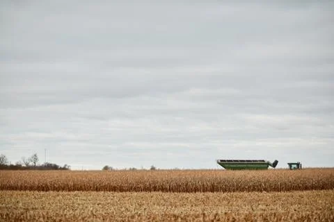 Dry wheat stubble and distant farm machinery Foto stock