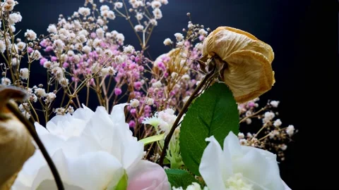 Dry white and pick Baby's Breath,Gypsophila and rose on spinning table Stock Footage 160516795
