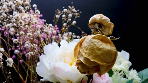 Dry white and pick Baby's Breath,Gypsophila and rose on spinning table Stock Footage 160516828