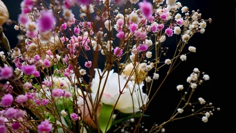 Dry white and pick Baby's Breath,Gypsophila and rose on spinning table Stock Footage 160517118
