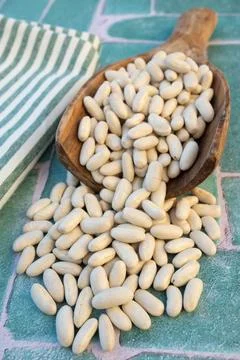 Dry white beans 스톡 사진