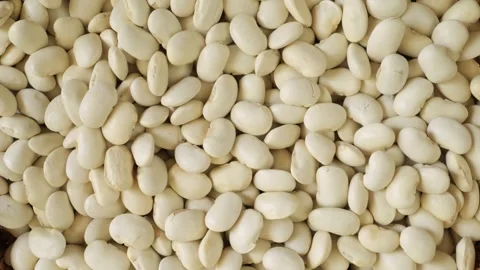 Dry white beans rotating in a close up background Vidéo 347685112