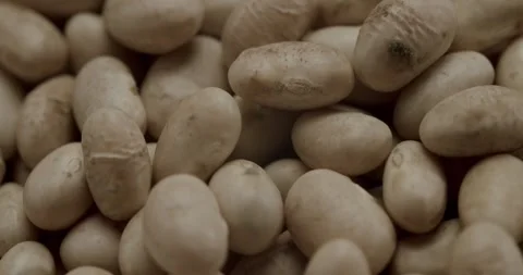 Dry white cannellini beans rotating in a bowl Stock Footage 344317170