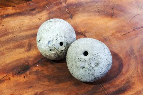 Dry white coconuts shell on wood table Stock Photos
