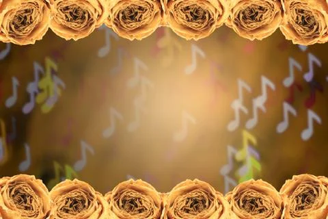 Dry white rose frame on blur note bokeh background Stock Photos