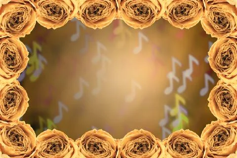 Dry white rose frame on blur note bokeh background Stock Photos