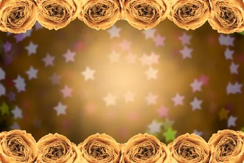Dry white rose frame on blur star bokeh Stock Photos