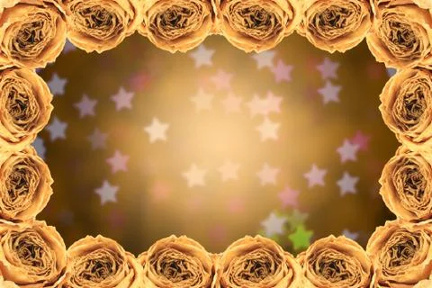 Dry white rose frame on blur star bokeh Stock Photos