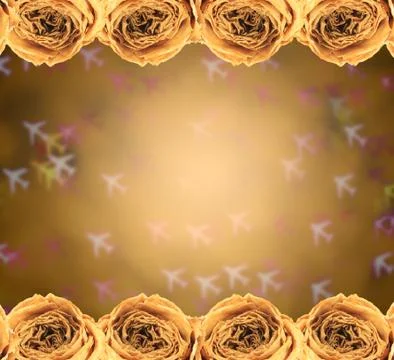Dry white rose frame on blur airplane bokeh Stock Photos