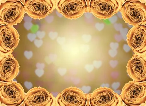 Dry white rose frame on blur heart bokeh Stock Photos