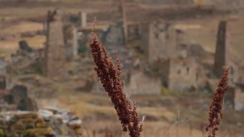 Dry Wild Plants in Front of Stone Tower Ruins Vídeos de archivo 327494869