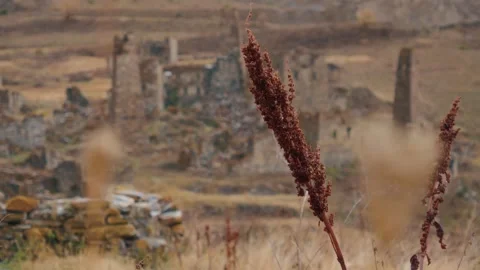 Dry Wild Plants in Front of Stone Tower Ruins Vídeos de archivo 327495054