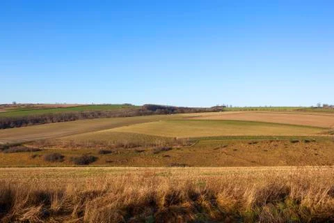 Dry winter landscape Stock Photos