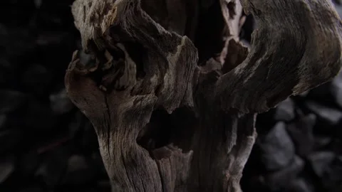 Dry Wood with Charcoal Background Stock Footage 290766843