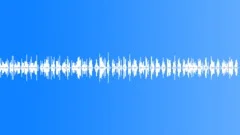 Dry Wood CreaksSound Effect