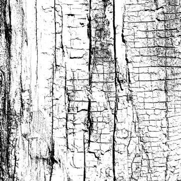 Dry Wood Stock Illustration