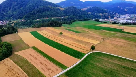 Dry yellow fields Stock Footage 312549382
