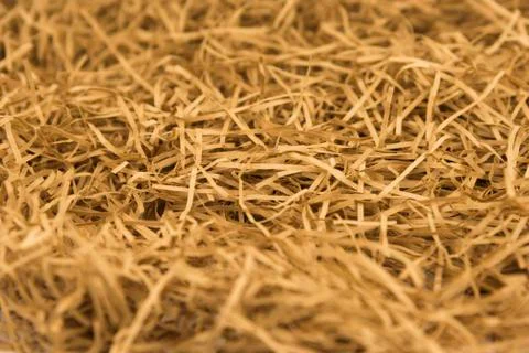 Dry yellow hay stack. Haystack grass background. Stock Photos