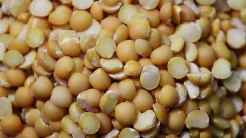 Dry yellow peas top view, rotation. Stock Footage 277253136