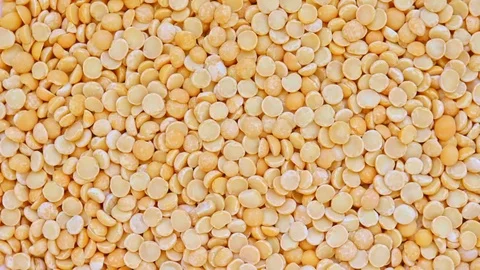Dry yellow split peas rotation background texture, vegetable protein source fo Stock Footage 106840402