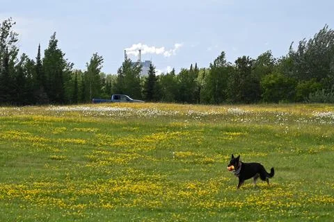 Dryden, ON, Canada Photos