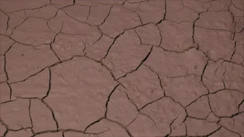 Drying and cracking soil close up in drought, 4K. Video stock 231915315