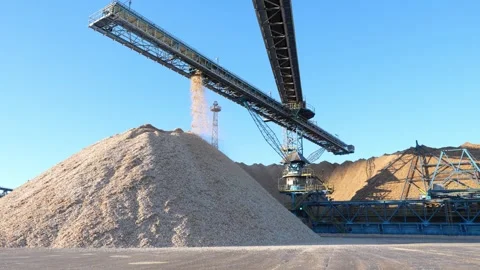 Drying and storage of wood chips in piles. General view of the paper mill Stockbeeldmateriaal 321667658