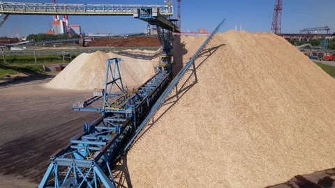 Drying and storage of wood chips in piles. General view of the paper mill Stock Footage 321669322