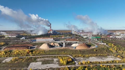 Drying and storage of wood chips in piles. General view of the paper mill Stock Footage 321669956