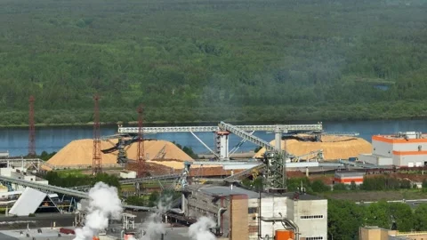 Drying and storage of wood chips in piles. General view of the paper mill. Stock Footage 321675597