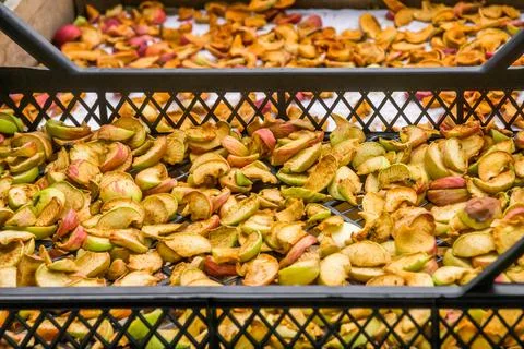 Drying apples in the old rustic way Stock Photos