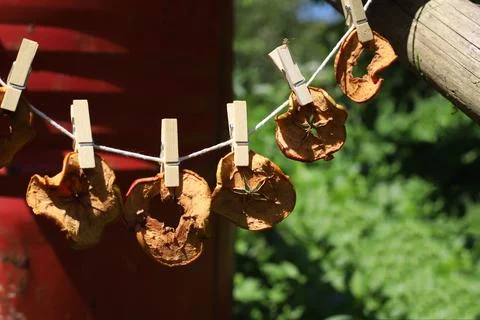 Drying apples Stock Photos
