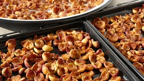 Drying apricots on the balcony in the home environment, close-up dried apri.. Vídeo Stock 224733673