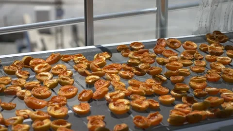 Drying apricots in the sun at home, drying fruits on the balcony, fruit dryin Video stock 281496294