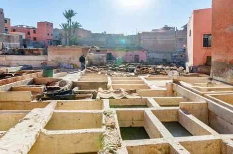 Drying of camel's skin Stock Photos
