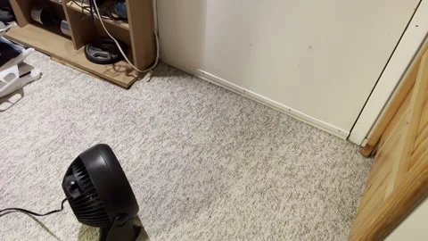 Drying the carpet in the basement with a fan after flooding Stock Footage 326351441
